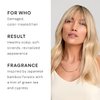 NATURELAB. TOKYO Perfect Repair Shampoo & Conditioner Duo: Replenish and Restore Damaged, Color Treated Hair and Strengthen New Hair I 11.5 FL OZ Each | $30 VALUE