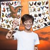 81PCS Eagle Tattoo Temporary Tattoos Eagles Theme Birthday Party Decorations Supplies Favors American Eagle Tattoos Stickers Cute Gifts for Kids Boys Girls Prizes Rewards