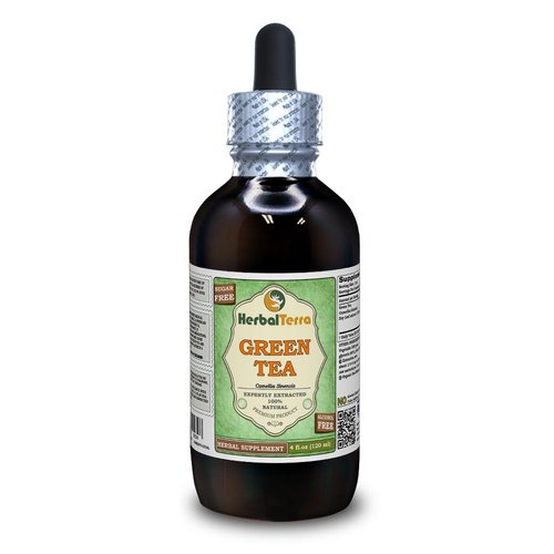 Green Tea (Camellia Sinensis) Glycerite, Organic Dried Leaves Alcohol-Free Liquid Extract (Brand Name: HerbalTerra, Proudly Made in USA) 4 fl.oz (120 ml)