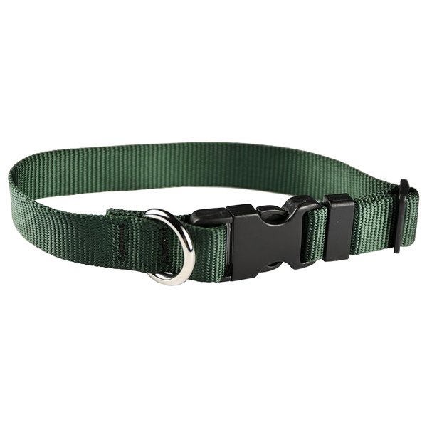 Moose Pet Wear Classic Dog Collar – Adjustable Pet Collars, 1 Inch Wide, Medium, Forest Green