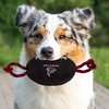 Pets First NFL Atlanta Falcons Football Dog Toy, Tough Quality Nylon Materials, Strong Pull Ropes, Inner Squeaker, NFL Team Color