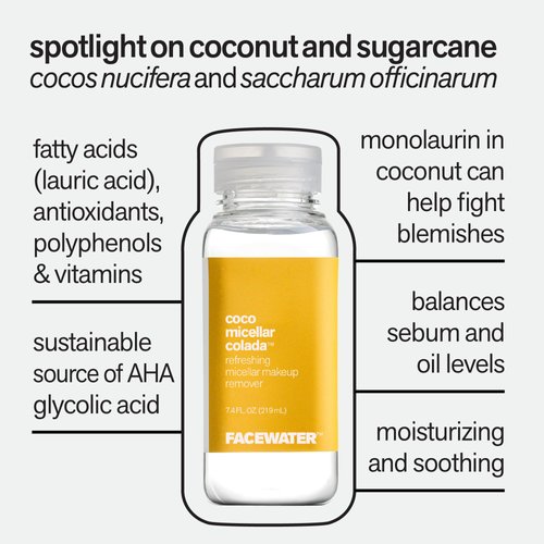 PLANT BEAUTY DISTILLERY Facewater Coco Micellar Colada Refreshing Micellar Makeup Remover