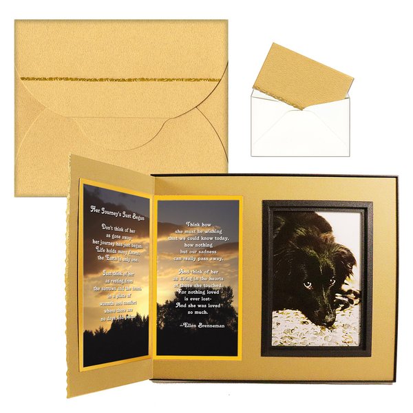 "Her Journey's Just Begun" Pet Loss Sympathy Picture Frame Gift and Memorial, with optional custom photo editing, Ginger with Foil Accent