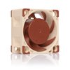 Noctua NF-A4x20 FLX, Premium Quiet Fan, 3-Pin (40x20mm, Brown), compatible with Desktop