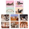 The Best Card Company - 20 Adorable Cat Greeting Cards (4 x 5.12 Inch) - Blank Assortment (10 Designs, 2 Each) - Litters Letters AM7058OCB-B2x10