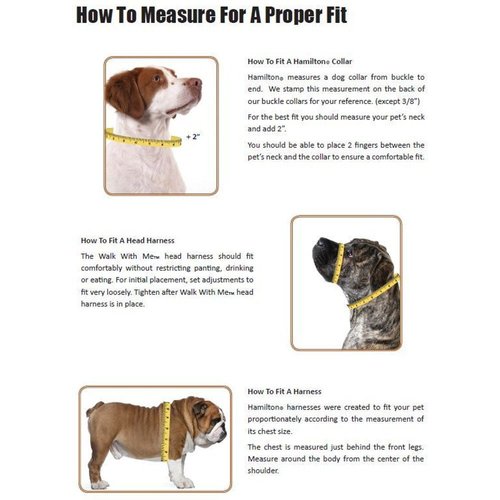 Hamilton Adjustable Comfort Nylon Dog Harness, Black, 5/8" x 12-20"