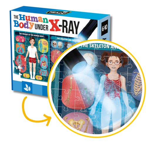Headu The Human Body Under X-Ray, Educational Toys for Boys and Girls Ages 6-10 Years Old, Kids Learning Toys, Teacher Homeschool Supplies, Birthday