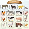 16 Piece Farm Animals Figures,Realistic Plastic Farm Animal Figurines Playset,Mini Farm Barn Animals Toys,Learning Educational Toys for Kids Toddlers,Cake Toppers Birthday Animal Themed Party Favors