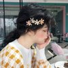 MIAO JIN 12Pcs Crystal Hair Clips Pearls Alligator Hairpins Small Mini Flower Hair Barrettes for Women's and Girls Hair Accessories