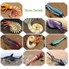 RCOMG 11PCS Prehistoric Sea Creatures Toys, Ancient Cambrian Ocean Animal Figurines Plastic Educational Marine Animal Figures for Cake Topper, School Project, Learning Toy