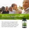 Swanson Pygeum - 100 Capsules, 125 mg Each - Herbal Supplement for Male Prostate Health, Bladder, and Urinary Tract Support