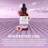 MaryRuth Organics Herbal Supplement Drop | Immune Support | USDA Echinacea Purpurea Liquid | Immune Support | Skin Health | Vegan | Non-GMO | Gluten Free | 1 Fl Oz