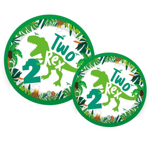 Dinosaur 2nd Birthday Decorations for Boy Plates 60pcs Dinosaur Birthday Party Paper Plates Dinosaur Birthday Party Supplies 2 Year Old Boy Two Rex Birthday Party Decorations for Boys Dino Bday