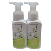 Bath & Body Works Gentle Foaming Hand Soap 8.75 Ounce 2-Pack (Cucumber & Lily)