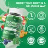 EnvyCure Chlorophyll Gummies 200mg, with Ashwagandha, Magnesium Glycinate, Fiber, Echinacea, Vitamin D B1 B2, Internal Deodorant, Healthy Skin, Fresh Body Odor, 2 Pack
