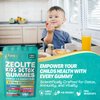 Parrox Zeolite Kids Gummies, 9-in-1 with Zeolite, Omega-3, Magnesium, Elderberry, Vitamin C, Milk Thistle, Vitamin D3, Zinc, B12 – Sugar-Free (60 Gummies – Mixed Berry Flavor)
