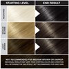Punky Ebony Semi Permanent Conditioning Hair Color, Non-Damaging Hair Dye, Vegan, PPD and Paraben Free, Transforms to Vibrant Hair Color, Easy To Use and Apply Hair Tint, lasts up to 35 washes, 3.5oz