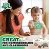 Life Cycle Science Kit Montessori Realistic Figurine, Kids Animal Matching Game with Frog, Ladybug and More Includes 24-Piece, Fun Learning Education Toys Stocking Stuffers for Children 3 4 5 6 7 8