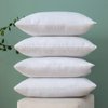 MIULEE Throw Pillow Insert Premium Pillow Stuffer Sham Rectangle for Decorative Cushion Bed Couch Sofa 12x20 Inch