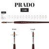 Speedball Art Products Escoda Prado Series Artist Watercolor & Acrylic Short Handle Filbert Paint Brush, Size 10, Synthetic Sable