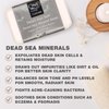 One With Nature 4 Oz Variety 3Pk-Mud, Activated Charcoal, and Dead Sea Mineral Soap with Argan Oil & Shea Butter - Dead Sea Salt Contains Magnesium, Sulfur & 21 Essential Minerals - Acne, Eczema