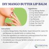Essential Living: Unrefined Mango Butter - For Raw and Organic Lip Balms, Body Lotion, Body Butter, Body Scrub and Organic Soap Making - 16-oz. Jar - 100% Natural