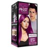 Splat Berry Blast Semi Permanent Hair Dye Kit with Bleach, 1 Application, Includes Purple Pink Hair Dye, Oxide & Bleach Powder, Vegan & Cruelty Free Hair Color