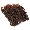 3 Packs 10 inch Ombre Synthetic Crochet Braids - Pre-twisted Fluffy Curly Hair Extensions 15 strands/pack (T1B/30#)
