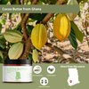 Nature Packaged Cocoa Butter (12oz) - Direct from Shea Tree Ghana, our supplier in West Africa - From Natural Cocoa Seeds - Moisturizes & Nourishes - Natural Body Butter 2 Pack