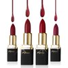 Khasana Lipstick Set. Long Lasting Gift Set. Moisturizing Formula, Infused with Vitamin E and Vitamin C. Multi Finish Lip Makeup Cream Gloss & Matte. Pack of 4 Red Collection