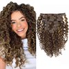 Clip in Human Hair Extensions Afro Jerry Curly 3B 3C Real Hair Clip in Extensions For Black Women Natural Black Color 100% Brazilian African American Hair Extensions (20 inch, Jerry Curly #P4/27)