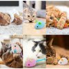 Catnip Toy - 6Pcs Cats Mouse Plush Cat Toys Realistic Cute Kitten Mice Filled Catnip for Cat Chew Toy1