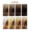Adore Semi Permanent Hair Color - Vegan and Cruelty-Free Hair Dye - 4 Fl Oz - 058 Cinnamon (Pack of 2)
