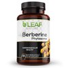 B’Leaf Nature's Berberine Phytosome Vegetarian Capsules - Superior Absorption, Natural Herbal Supplement for Better Health - Gluten-Free, Non-GMO - 120 Capsules, 1100mg per Serving