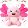 HyDren 10 Inch Happy Plushy Birthday Plush Pink Axolotl Plush Soft Cute Stuffed Animal Plush Pillow Kawaii Birthday Gifts for Kids Girls Party Favor Bedroom Home Decor