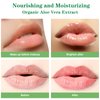3PCS Aloe Vera Lipstick,Aloe Vera Color Changing Lipstick,24H Long Lasting Nutritious Soothing Aloe Vera Lip Balm,Magic Moisturizer Temperature Color Change Aloe Vera Lip Gloss Lip Care Set for Women