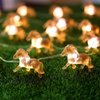 JASHIKA Horse Fairy String Lights Cute Pony Decorative Lights 20 LEDs Night Light 8.5ft Battery Operated with Remote for Bedroom Farmhouse Home Holiday Thanksgiving Decoration