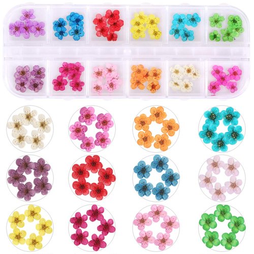 2 Boxes Dried Flowers for Nail Art, KISSBUTY 24 Colors Dry Flowers Mini Real Natural Flowers Nail Art Supplies 3D Applique Nail Decoration Sticker for Tips Manicure Decor (Daffodil Hydrangea Daisy)