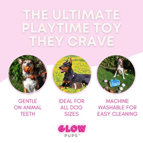 Glow Pups Sports Bag Hide and Seek Dog Toy, 3 Plush Balls with Squeakers, Basketball, Soccer Ball, Football