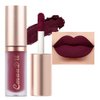 evpct 6Pcs Plum Purple Silky Velvet Matte Liquid Lipstick Lip Gloss Set for Women Long Lasting 24 Hours Color Stay Lipstick labiales matte larga duracion mate 24 horas originales 07#