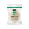 Earth Therapeutics Exfoliating Body Sponge - (1 Sponge)