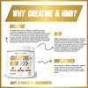 Creatine HMB - Creatine Powder for Men - Creatine Powder - Creatine Supplement - Creatine for Men - HMB Creatine - Creatine HMB Powder - Creatine - Creatine Monohydrate - 30 Servings - Unflavored