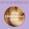 SoftSheen-Carson Dark and Lovely Fade Resist Rich Conditioning Hair Color, Permanent Hair Color, Up To 100 percent Gray Coverage, Brilliant Shine with Argan Oil and Vitamin E, Brown Sable