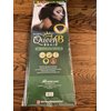 Queen B Synthetic Pre Stretched Braid 4X Multi Bundle 50 inch 10-20 pc Case (10 pc case, 613)