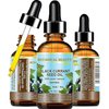 BLACK CURRANT SEED OIL 100% Pure Natural Undiluted Refined Cold Pressed Carrier oil. 1 Fl.oz. - 30 ml For Face, Skin, Hair, Lip, Nails. Rich in Gamma Linolenic acid, Omega 3 by Botanical Beauty