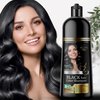 Solutrel Black Hair Dye Shampoo, Complete Gray Coverage, 10-in-1 Unisex Hair Color Shampoo With Natural Ingredients, No Skin Stain - Ammonia Free.