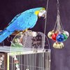 Jinkoozz Bird Toys, Parrot Ball Toys with Bells, Colorful Bird Chewing Toys, Bird Cage Accessories, Suitable for Birds Parrots Parakeets Cockatiels