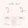 Saalt Soft Menstrual Cup - Best Sensitive Reusable Period Cup - Wear for 12 Hours - Tampon and Pad Alternative (Regular Grey, Small Desert Blush, Regular Grey, Small Desert Blush)