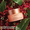 CLARINS Extra-Firming Night Cream | Anti-Aging Moisturizer | In Just 2 Weeks, Skin Appears Visibly Regenerated, Firmer and Tighter* | Evens Skin Tone | Nourishes and Soothes | Dry Skin Type | 1.6 Oz