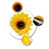 6PCS Beautiful Sunflower Hair Alligator Clips Hair Clamp Hair Styling Accessories for Lady Girls Party Beach Vacation Wedding Decoration